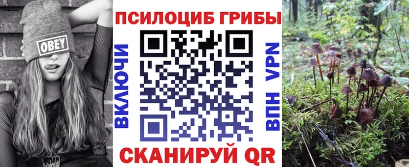 Псилоцибиновые грибы ЛСД  Боровичи 