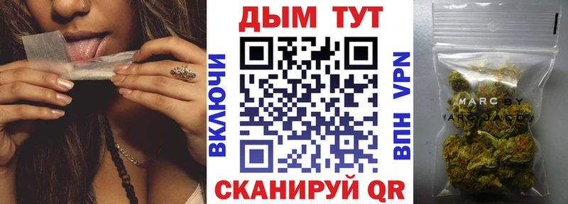 Бошки марихуана план Боровичи